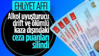 Cumhurbaşkanı Erdoğan'dan ehliyet ve ceza affı müjdesi