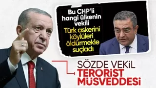 Cumhurbaşkanı Erdoğan Sezgin Tanrıkulu'nun ifadelerine tepki gösterdi