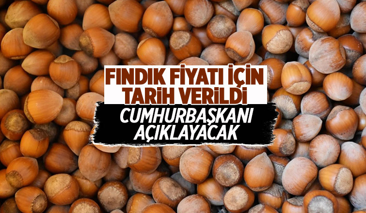Cumhurbaşkanı fındık fiyatını açıklayacak