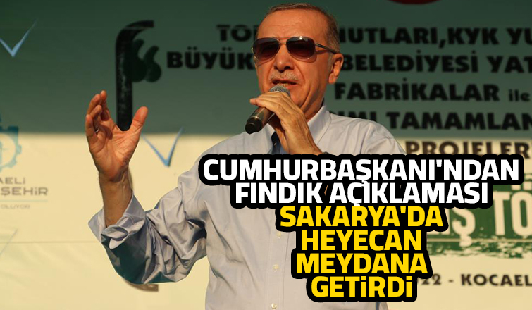 Cumhurbaşkanı'ndan Sakarya açıklaması
