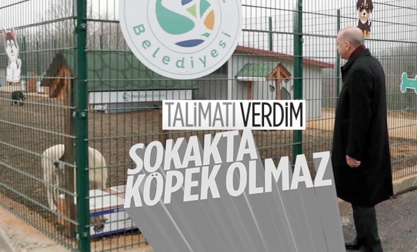 Cumhurbaşkanı'ndan sokak hayvanları talimatı