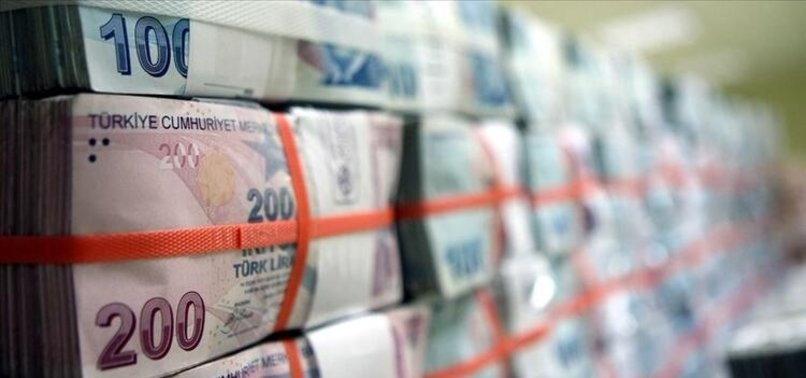 Cumhurbaşkanı'ndan TL çağrısı