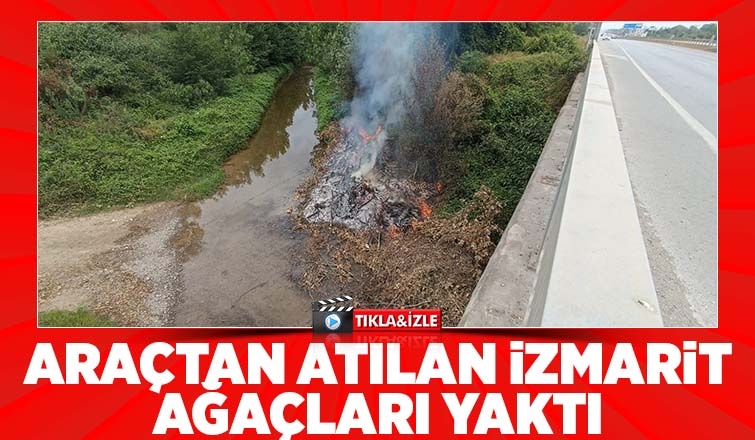 D-100'de araçtan atılan izmarit yangın çıkardı