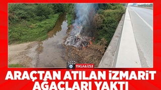 D-100'de araçtan atılan izmarit yangın çıkardı