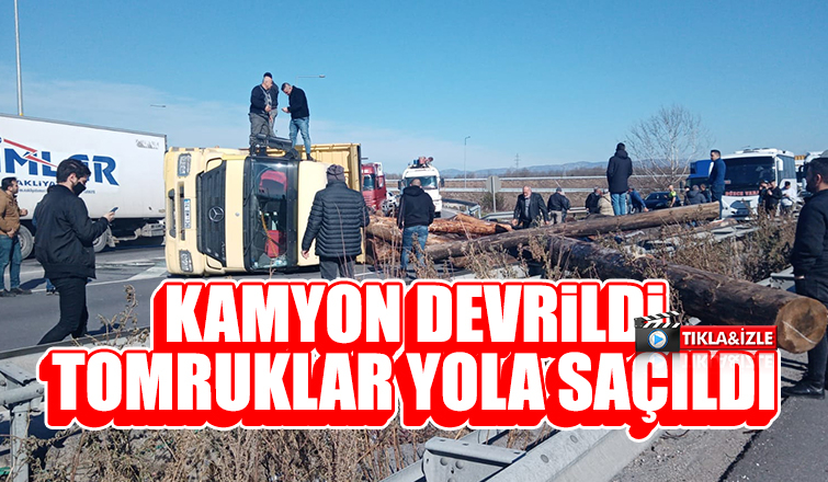 D-100'de tomruk yüklü kamyon devrildi