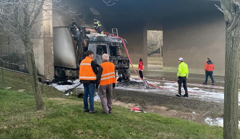 D-100’de çay yüklü tır yandı