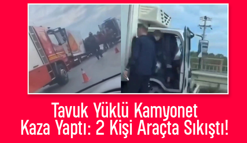 D-100’de tavuk Yüklü kamyonet kaza yaptı: 2 yaralı