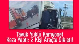 D-100’de tavuk Yüklü kamyonet kaza yaptı: 2 yaralı