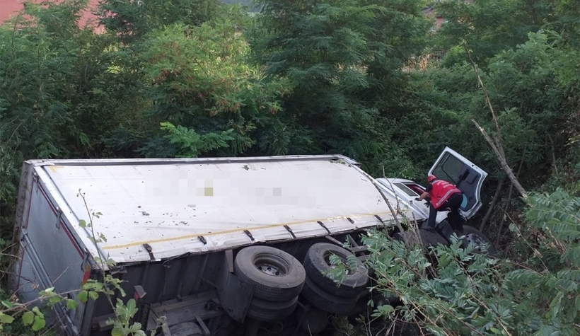 D-650'de can pazarı