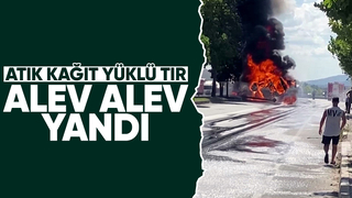 D-650'de kağıt yüklü tır alev topuna döndü