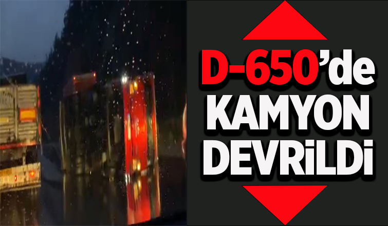 D-650'de kamyon devrildi