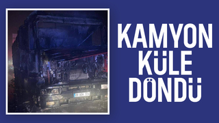 D-650'de kamyon yandı