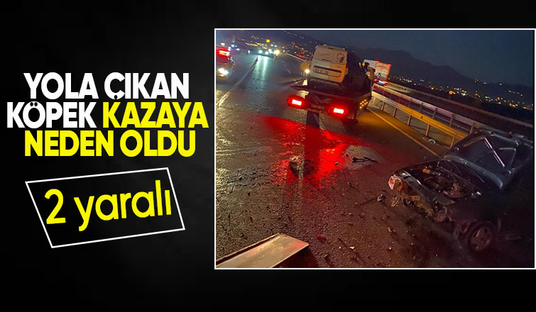 D 650 de kaza 2 yaralı