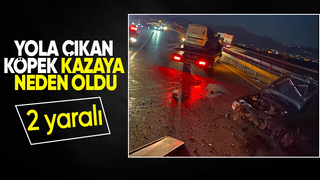 D 650 de kaza 2 yaralı