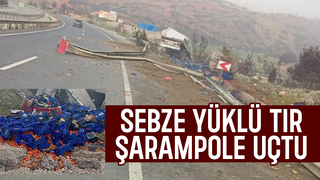 D-650'de sebze yüklü tır kaza yaptı