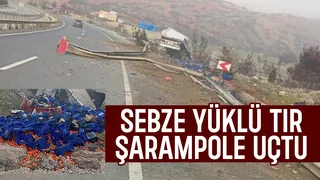 D-650'de sebze yüklü tır kaza yaptı