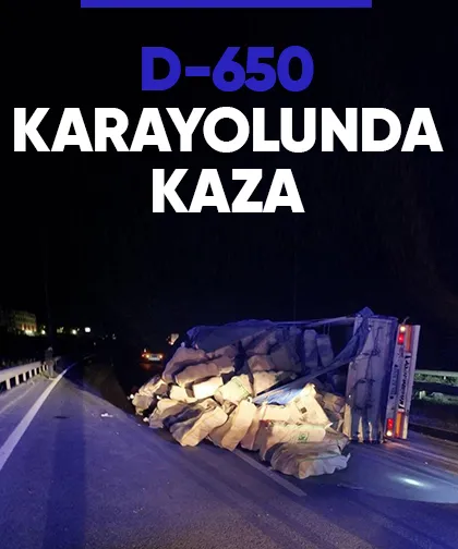 D-650 karayolunda kaza