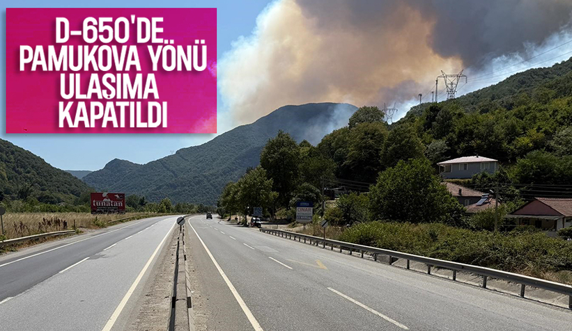 D-650 karayolunun Bilecik yönü yangın nedeniyle trafiğe kapatıldı