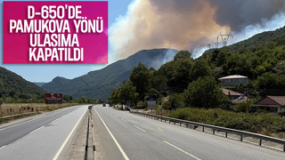 D-650 karayolunun Bilecik yönü yangın nedeniyle trafiğe kapatıldı