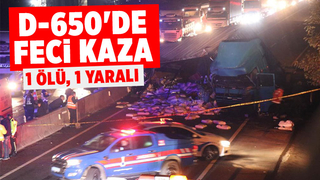 D-650 savaş alanına döndü: 1 ölü, 1 yaralı