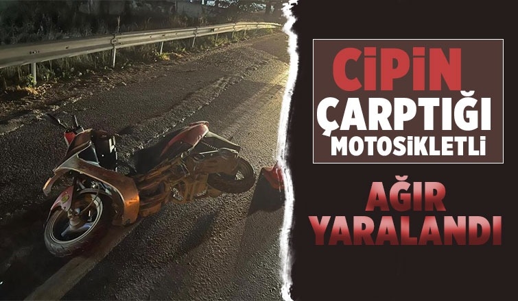 D-650’de cip ile motosiklet çarpıştı: 1 ağır yaralı