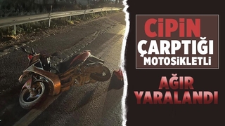 D-650’de cip ile motosiklet çarpıştı: 1 ağır yaralı