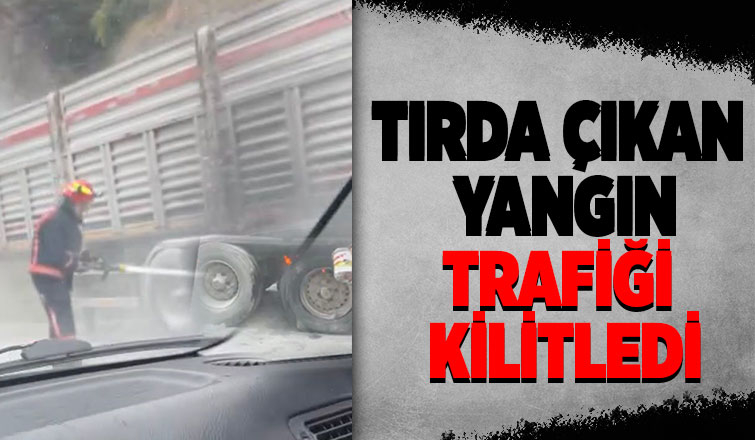 D-650’de tırın dorsesinin lastikleri