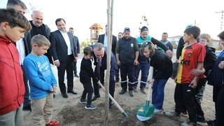 Daha Yeşil Bir Adapazarı İçin