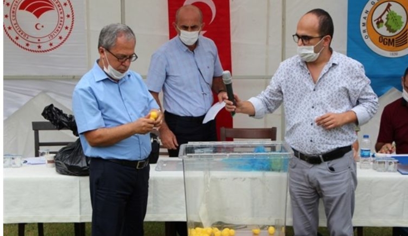 Daimi işçiler için kura çekildi