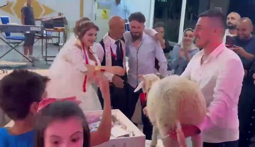 Damada takı yerine koyun hediye ettiler