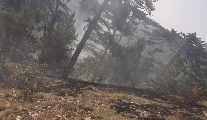 Davlumbaz Yaylası'nda orman yangını 