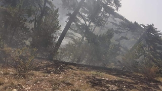 Davlumbaz Yaylası'nda orman yangını 