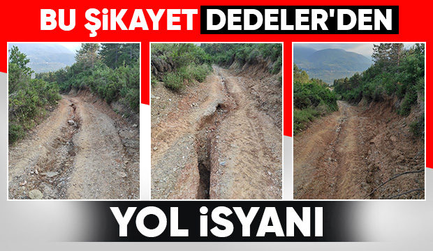 Dedeler'de vatandaşın yol tepkisi; Dev yarıklar oluştu