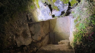 Define arayan 5 kişi suçüstü yakalandı