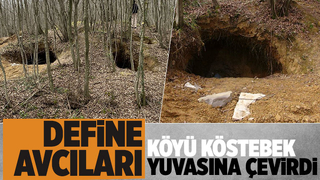 Defineciler köyü adeta talan ediyor