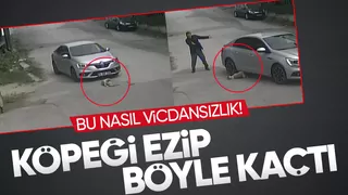 Dehşet anları Köpeği ezip böyle kaçtı!