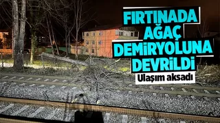 Demir yoluna ağaç devrildi, ulaşım aksadı