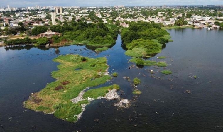 Deniz yosunundan elektrik akımı elde eden bir yöntem geliştirildi