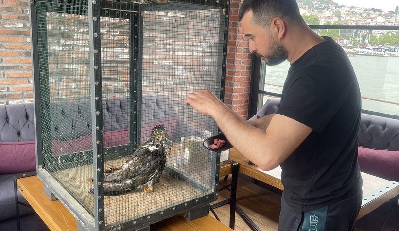 Denizde buldukları yırtıcı kuşu ısıtıp bonfile ile beslediler