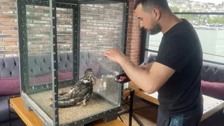 Denizde buldukları yırtıcı kuşu ısıtıp bonfile ile beslediler