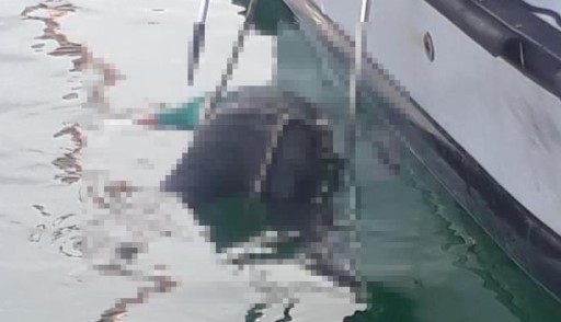 Denizde erkek cesedi bulundu