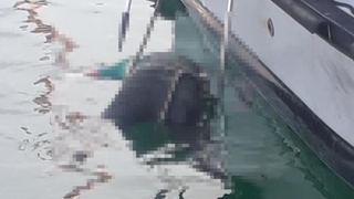 Denizde erkek cesedi bulundu