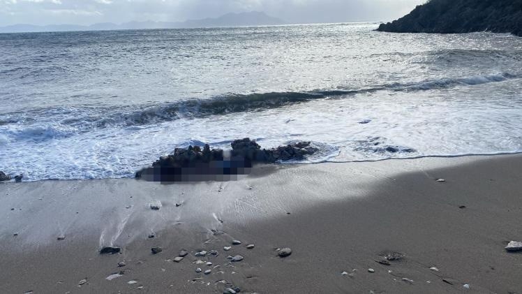 Denizde ve sahilde iki ceset bulundu