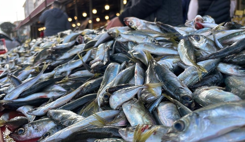 Denizden istavrit fışkırıyor