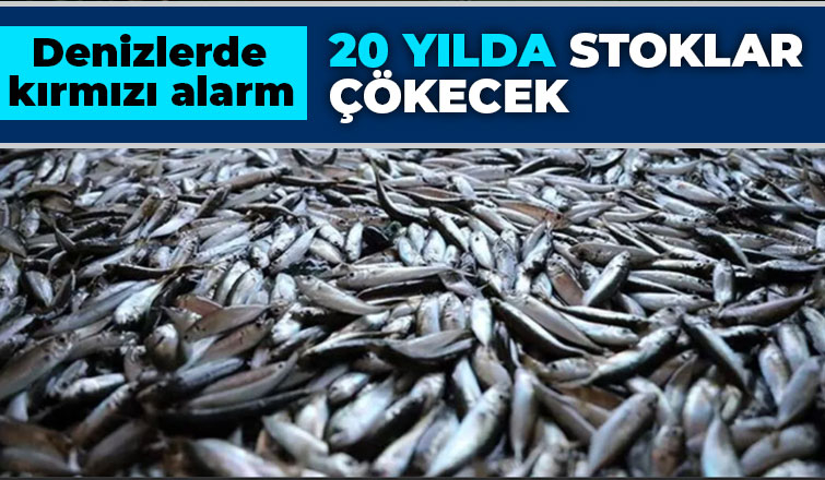 Denizlerde kırmızı alarm