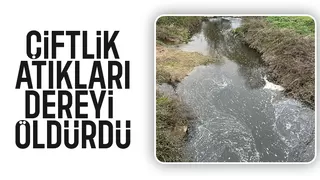Dere atıklardan siyaha döndü