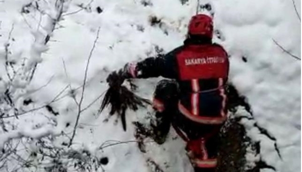 Derede mahsur kalan baykuş için seferber oldular