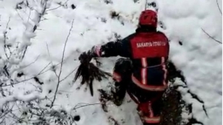 Derede mahsur kalan baykuş için seferber oldular