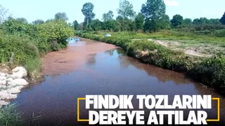 Dereye atılan fındık tozu, tepkiye neden oldu