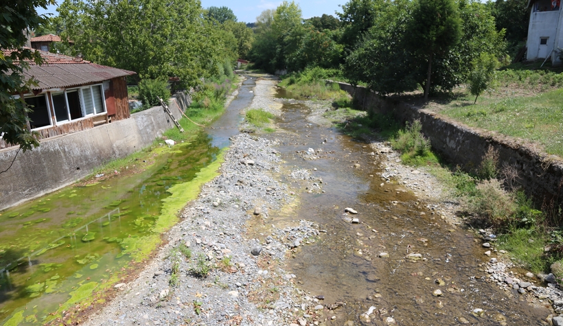 Dereye atılan kurban atıkları 150 kişiyi hastanelik etti